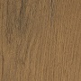 Pale Lancelot Oak